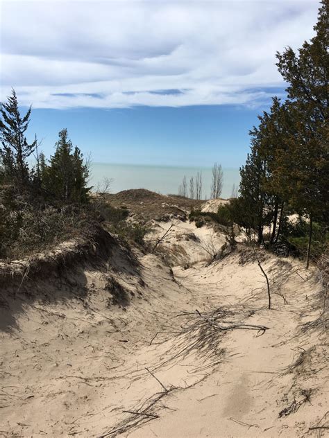 Pinery Provincial Park Mountain Bike Trail In Grand Bend Ontario