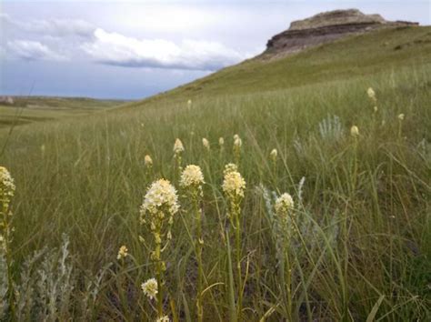 7 Of The Most Beautiful Prairies And Nature Preserves In Nebraska
