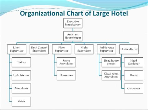 Organization chart management positions (large hotel, sample). Housekeeping Role and Cleaning Equipment