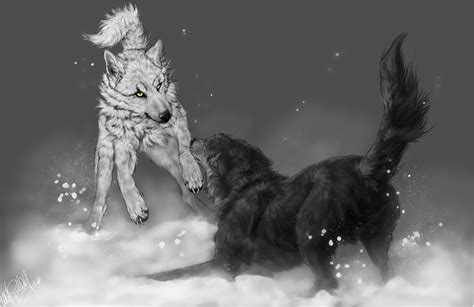 Wolfs Rain Kiba Vs Tsume By Whitespiritwolf On Deviantart