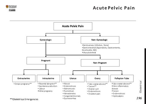 Gynecologic Causes Of Acute Pelvic Pain Spectrum Of C