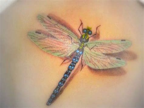 34 Beautiful Dragonfly Tattoos Collection