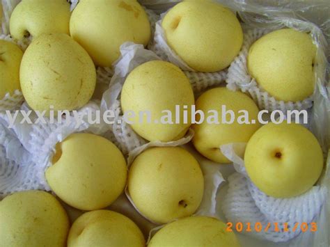 Fresh Crown Pearhuangguan Pearchina Xinyue Price Supplier 21food