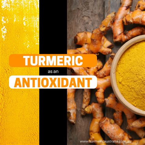 Turmeric Has Been Shown To Be Great For Supporting Your General