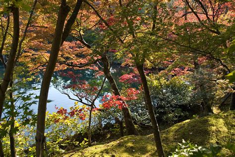 Jeffrey Friedls Blog Bonanza Of Fall Foliage Kyoto Fall Hd Wallpaper