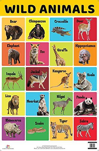 Buy Charts Wild Animals Charts Educational Charts For Kids Online At