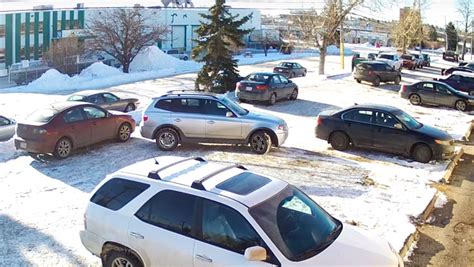 Just A Car Guy: some people can't help it. They are stupid... and