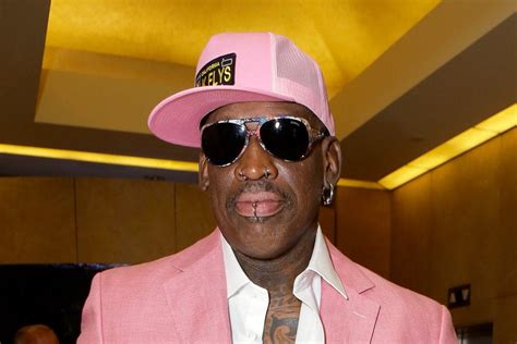 Dennis Rodman Charged With Hit And Run After Freeway Incident Essence