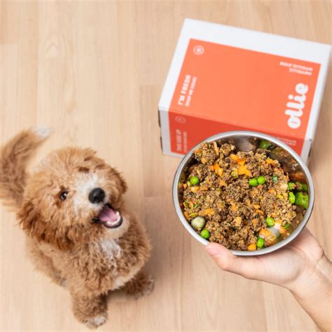 The Top 4 Dog Food Delivery Services Compared When It Comes To Keeping