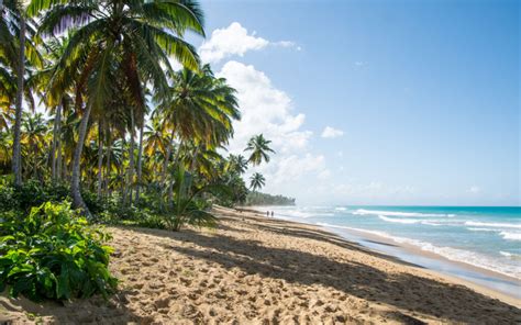 is the dominican republic safe to visit in 2023 safety concerns travellers