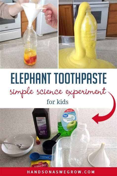 Elephant Toothpaste Worksheet