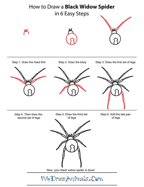 Https://tommynaija.com/draw/how To Draw A Black Spider