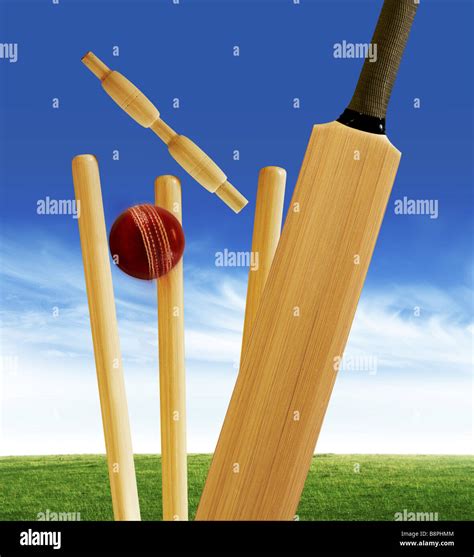 Cricket Bat And Ball And Wickets
