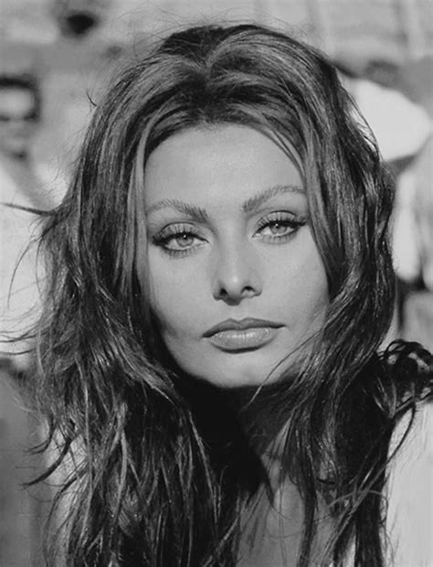 Billyhopkinson Sophia Loren Sophia Loren Images Sophia Loren