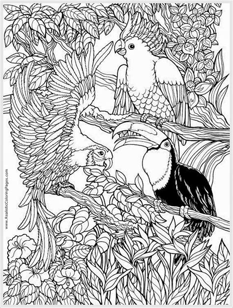 Parrots Bird Adult Free Coloring Pages | Realistic Coloring Pages