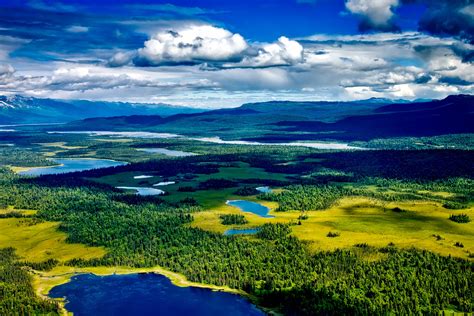 On the kantishna wilderness trails bus tour, you can explore all 92 miles of the denali park road and have the entire trip narrated by an experienced driver. Picture Perfect: Denali National Park & Preserve - Luxury ...