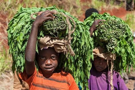 Ethiopia - The Hunger Project