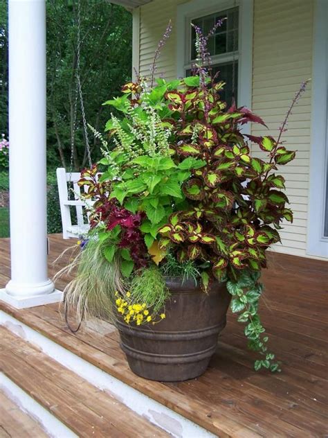 10 Container Gardening Ideas Free Spirit Patio Planter