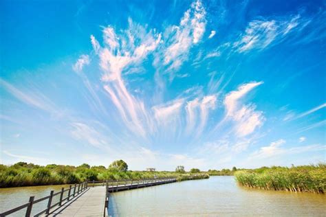 Yellow River Estuary Ecotourism Area Travel Guidebook Must Visit