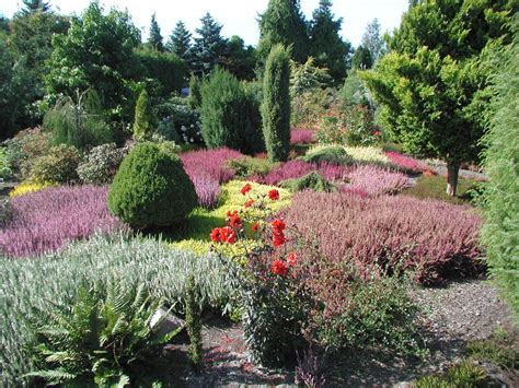 Christiansberg botanischer garten 3 by p.fuchs. Heidezüchtung Kramer - botanischer garten christiansberg