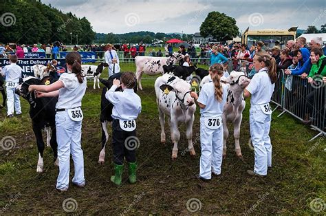Cartmel Agricultural Show Editorial Photography Image Of Annual 26068647