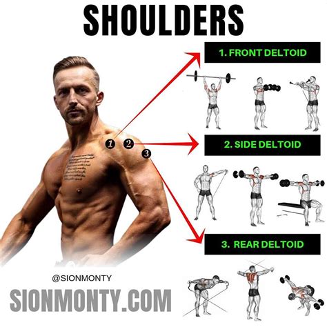 Want Full D Shoulders Now That Youve Got An Idea Of The Best Shoulder Exercises Its Time To