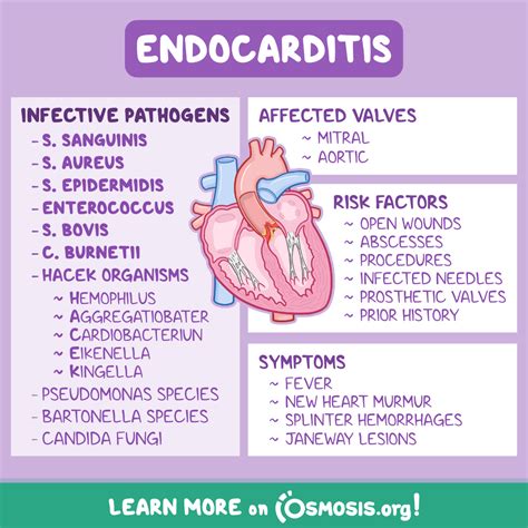 Endocarditis Symptoms