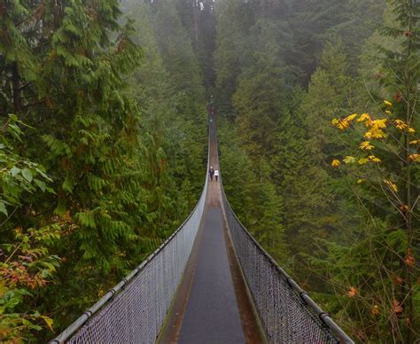 Capilano Suspension Bridge Vancouver Un Autumn Experiencetransat