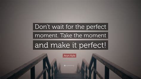 Aryn Kyle Quote Dont Wait For The Perfect Moment Take The Moment