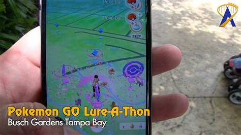 Pokemon Go Theme Park Lure A Thon At Busch Gardens Tampa Youtube