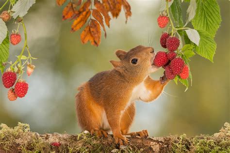 Sony World Photography Awards 2016 Ten Beautiful Images Released As