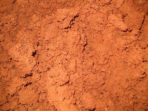 Red Dirt Soil Georgia Clay