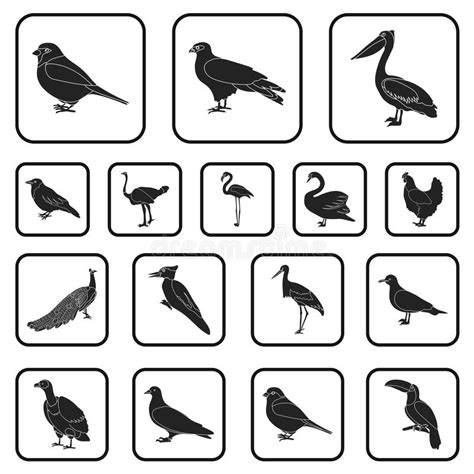 Types Of Birds Black Icons In Set Collection For Design Home And Wild
