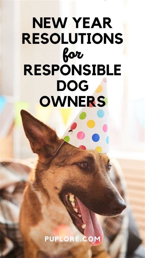 12 New Year Resolutions For Responsible Dog Owners Puplore
