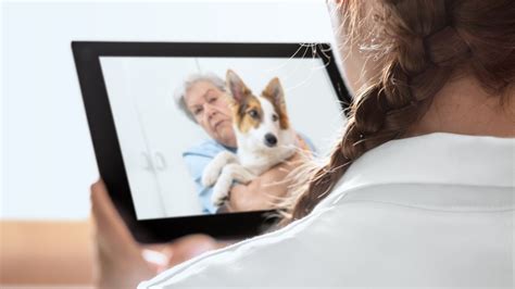 Veterinary Telemedicine Everything Vets Need To Know About Remote