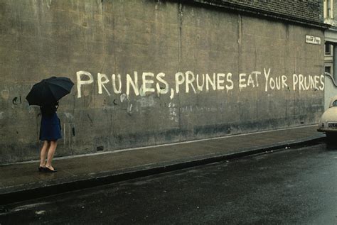eat your prunes 1 photograph by carl purcell pixels