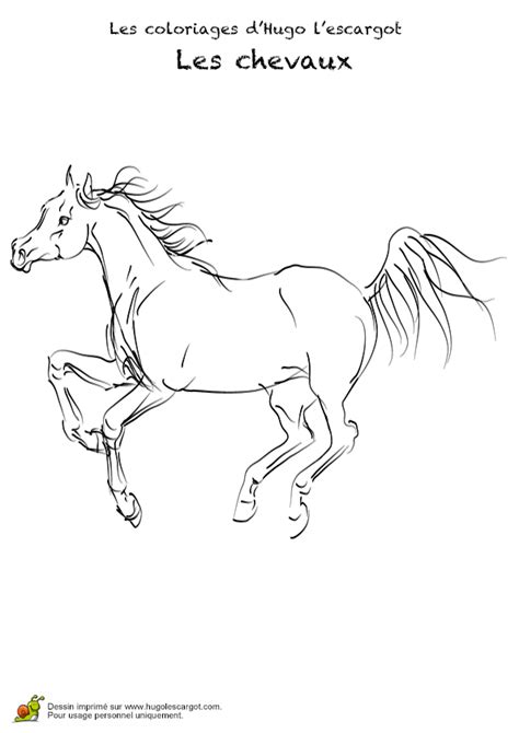 Envie de jouer aux meilleurs jeux d'escargot gratuits ? Coloriage chevaux realistes 11 sur Hugolescargot.com ...
