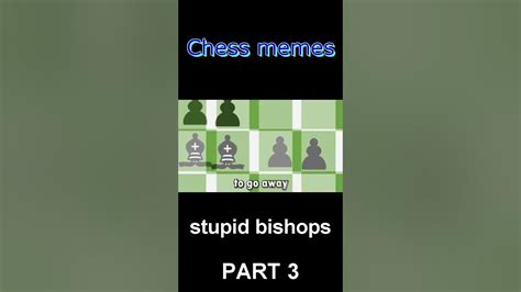 Chess Memes When Rook Thinks Bishops Are Dumb Youtube