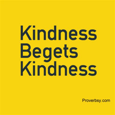 Kindness Begets Kindness Proverbsy