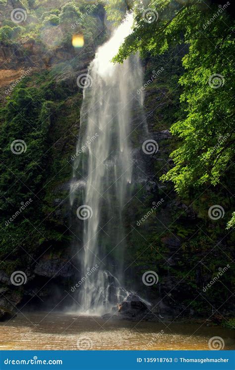 Taking A Bath At Upper Wli Waterfall Stock Image Image Of Natural