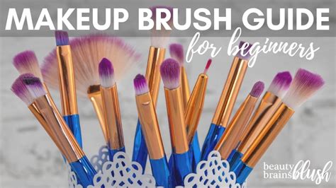 ultimate makeup brush guide for beginners beautybrainsblush
