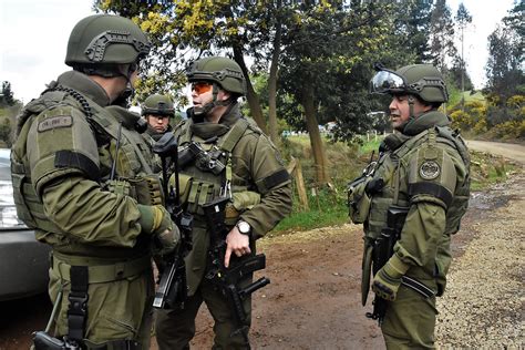 Chile Suspende Entrenamiento De Comando Jungla Noticias Telesur
