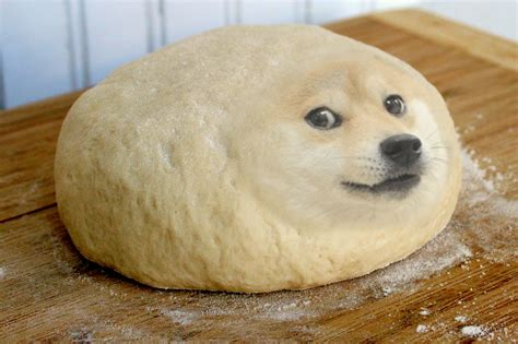 Baking Doge Doge Meme Doge Funny Animal Memes