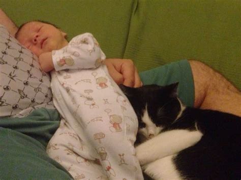 Stray Kitten Rescued By Pregnant Woman Returns Love To Her And Her Son