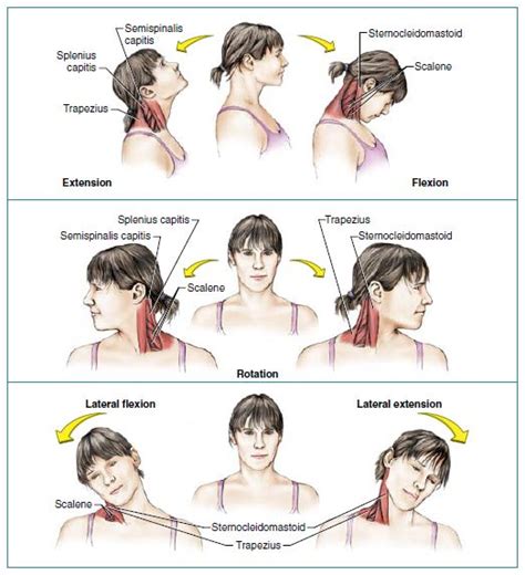 Practice these 7 yoga poses to help relieve neck pain. rasa yoga cafe...: Neck Stretches!