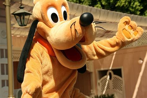 Best Day To Go To Disney World Everythingmouse Guide To Disney