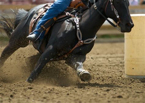 The 3 Types Of Horse Riding Styles You Should Know About