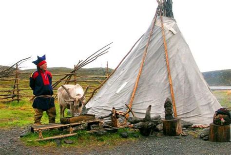 A Window Into The Traditional Sami Culture Reindeer And A Worldview