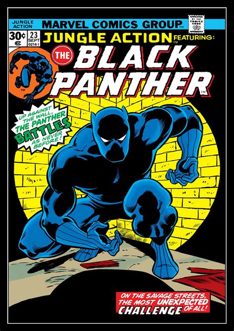 Promo 5 Covers Comics Black Panther Plastifie Format A3 297