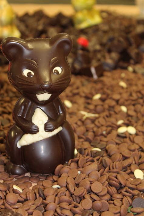 Chocolate mousse on chocolate butter cake, iced with whipped cream, drizzled with chocolate ganache and sprinkled with chocolate chips. Chocolate mouse on display in Bennetts of Mangawhai ...